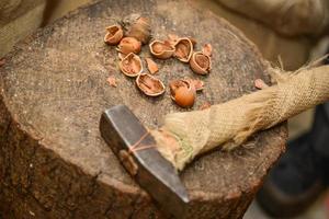 avelãs e cascas quebradas em um tronco de madeira e com um martelo