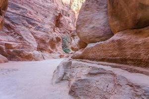 canyon siq localizado em rose city, petra. Jordânia foto