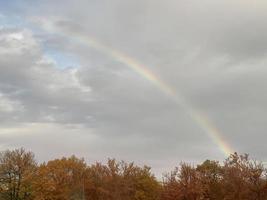 arco Iris dentro uma floresta dentro outono temporada. isto é nublado, calma depois de a chuva. foto