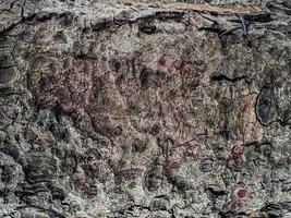 textura de madeira superfície de fundo antigo padrão natural foto