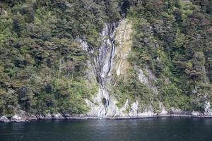 Fiordland nacional parque cascata cercado de floresta foto