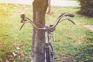 vintage bicicleta e árvore dentro jardim foto