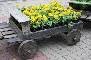 flores amarelas em vagão de madeira