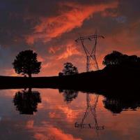 reflexo da árvore e do pôr do sol foto