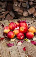 natureza morta com várias maçãs vermelhas sobre uma velha mesa de madeira foto