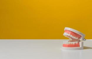 plástico modelo do uma humano mandíbula com branco dentes em uma amarelo fundo, oral higiênico foto