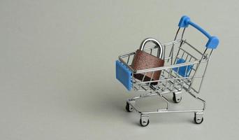 metal trava dentro uma miniatura compras carrinho em uma cinzento fundo. seguro conectados compras conceito foto