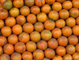 pilha de frutas laranja foto