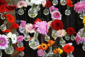 flores em vasos foto