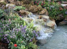 flores e cachoeira no jardim interno foto