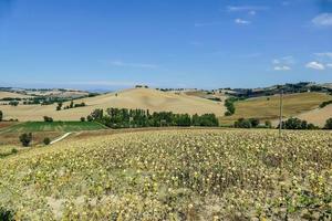 rural panorama dentro Itália foto