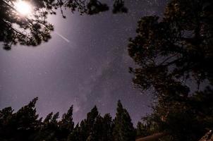 estrelado céu às noite foto