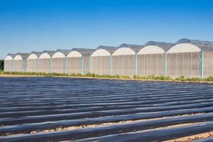 Visão para estufa com azul céu e campo agricultura foto