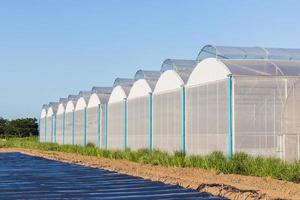 Visão para estufa com azul céu e campo agricultura foto