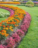 colorida canteiros de flores e enrolamento Relva caminho dentro a atraente foto