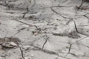 a terra tem rachaduras dentro a topo Visão para fundo foto