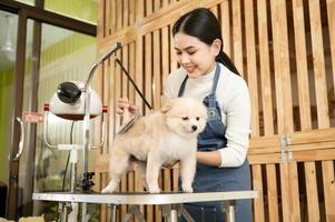 fêmea profissional aparador pentear cachorro pele às animal spa aliciamento salão foto