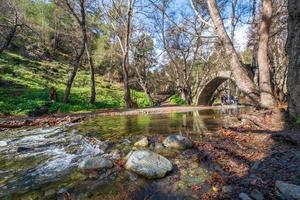 tzelefos pitoresco medieval ponte dentro troodos, Chipre foto