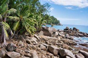 mahe seychelles coco Palma árvores e deslumbrante Rocha pedregulhos perto a costa foto