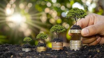 mãos humanas segurando dinheiro e árvores crescendo no conceito de crescimento financeiro de investimento de dinheiro foto