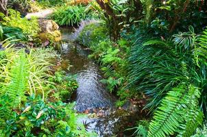 lindo paisagismo com lindo plantas e flores, primavera flores dentro a ásia jardim com uma rio foto