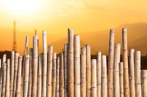 lindo bambu cerca com pôr do sol dentro enevoado com eletricidade linhas dentro fundo foto