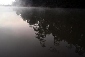 reflexo das árvores na água foto