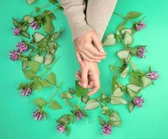 dois fêmea mãos e Rosa pequeno flores foto