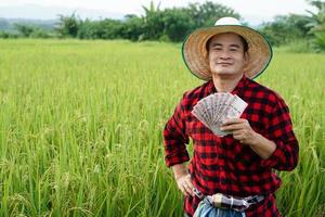 ásia agricultor homem é às arroz campo, desgasta chapéu e vermelho xadrez camisa, aguarde tailandês nota de banco dinheiro. conceito , agricultor feliz para pegue lucro, renda, agricultura apoiando dinheiro. foto