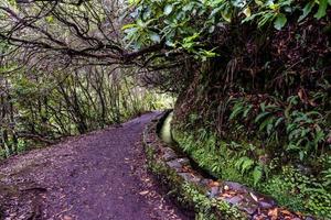 2022 08 19 Madeira levada 4 foto