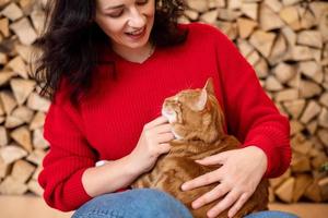 uma fofa menina dentro uma suéter golpes uma vermelho gato e parece às ele. uma gato com fechadas olhos foto