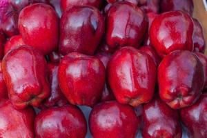 close-up de maçãs vermelhas foto