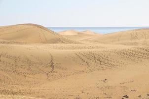 dunas de areia à beira-mar foto