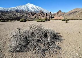 Nevado montanha dentro a distância foto