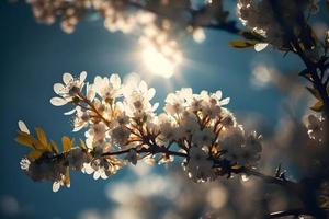 fotos Primavera florescendo - branco flores e luz solar dentro a céu, fotografia