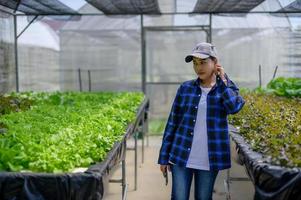 agricultor mulher carinhoso hidroponia vegetal trama, orgânico legumes foto