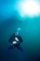 mergulho mergulhador embaixo da agua retrato dentro a profundo azul oceano foto