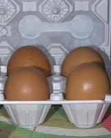 ovos dentro plástico recipiente foto