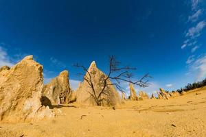 pinnacles park no oeste da austrália foto