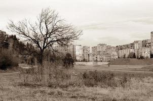 monocromático imagem do uma árvore dentro uma deserta área. urbano panorama dentro sépia. foto