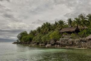 uma tropical paraíso com coco árvore foto