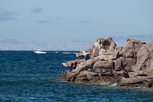 focas de leão-marinho relaxando em baja califórnia foto