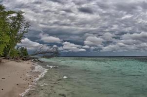 paraíso polinésio tropical turquesa foto