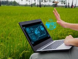 uma jovem mulher usando uma computador portátil para analisar ecológico tecnologia eco sustentável desenvolvimento ecológico conceito foto