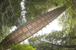 Capilano suspensão ponte parque dentro Vancouver foto