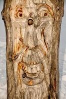 madeira esculpido provocador face foto
