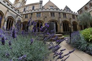 oxford, inglaterra - 15 de julho de 2017 - turistas na igreja de cristo da cidade universitária foto