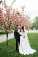 recém-casados andar dentro a parque entre cereja flores foto