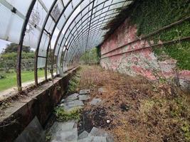 janelas quebradas velhas estufas abandonadas foto