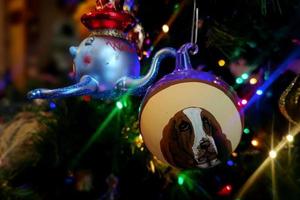 cachorro vidro mão fez Natal bola em natal árvore detalhe borrão luzes foto